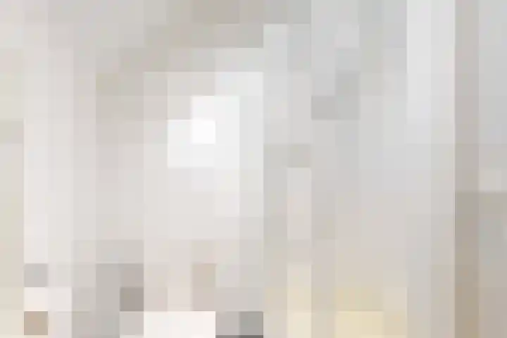 Laan der Verenigde Naties 110 Leiden thumbnail 36