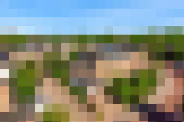 Laan der Verenigde Naties 110 Leiden thumbnail 4