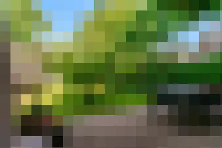 Laan der Verenigde Naties 110 Leiden thumbnail 42