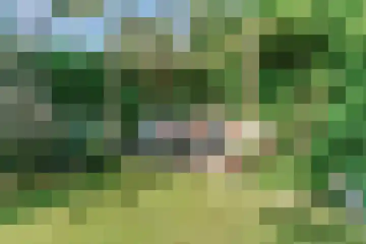 Laan der Verenigde Naties 110 Leiden thumbnail 44