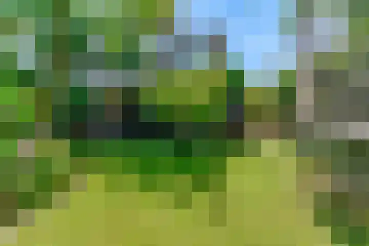 Laan der Verenigde Naties 110 Leiden thumbnail 45