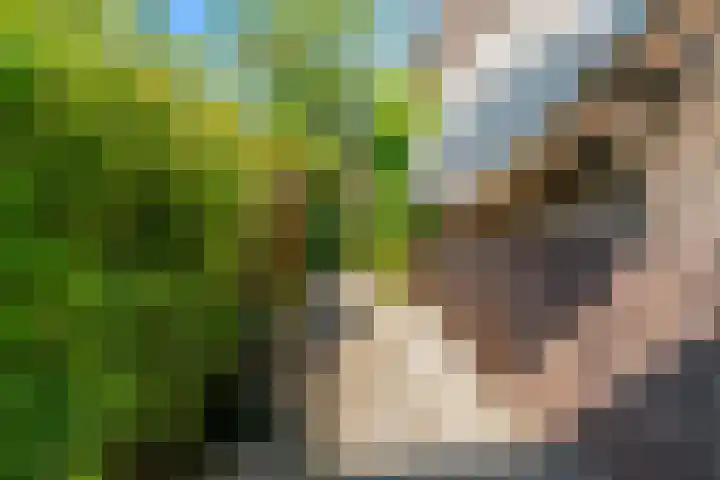 Laan der Verenigde Naties 110 Leiden thumbnail 46
