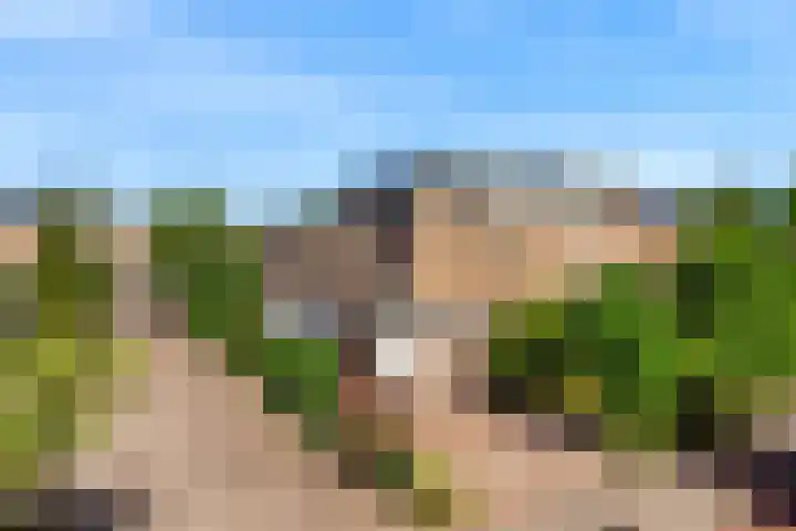 Laan der Verenigde Naties 110 Leiden thumbnail 49