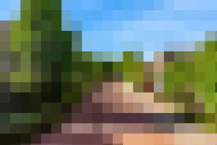 Laan der Verenigde Naties 110 Leiden thumbnail 50