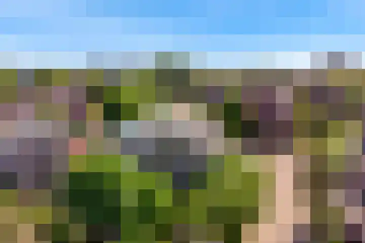 Laan der Verenigde Naties 110 Leiden thumbnail 52