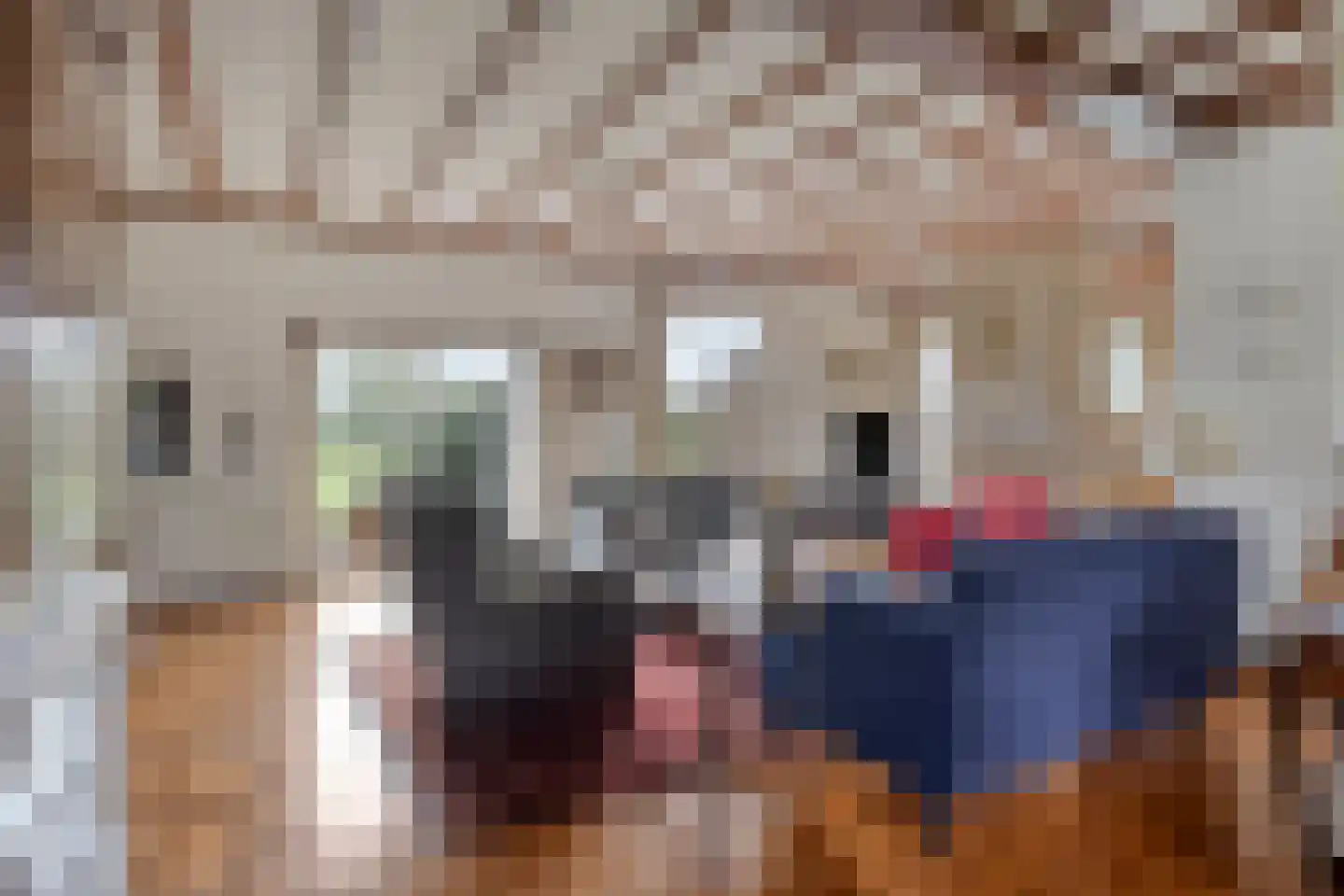 Laan der Verenigde Naties 2 Middelburg thumbnail 15