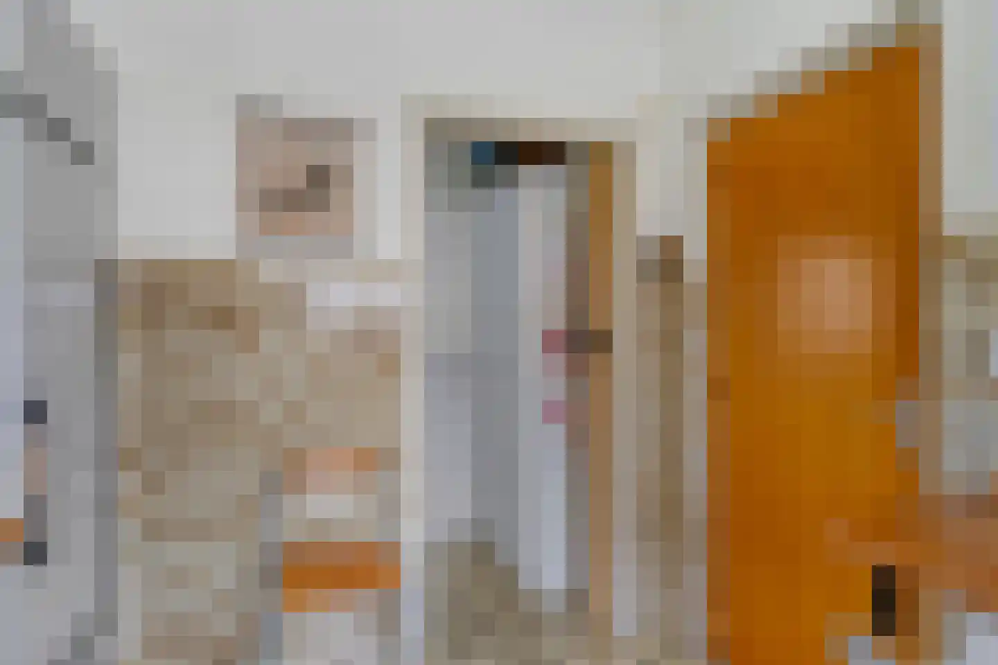 Laan der Verenigde Naties 2 Middelburg thumbnail 23