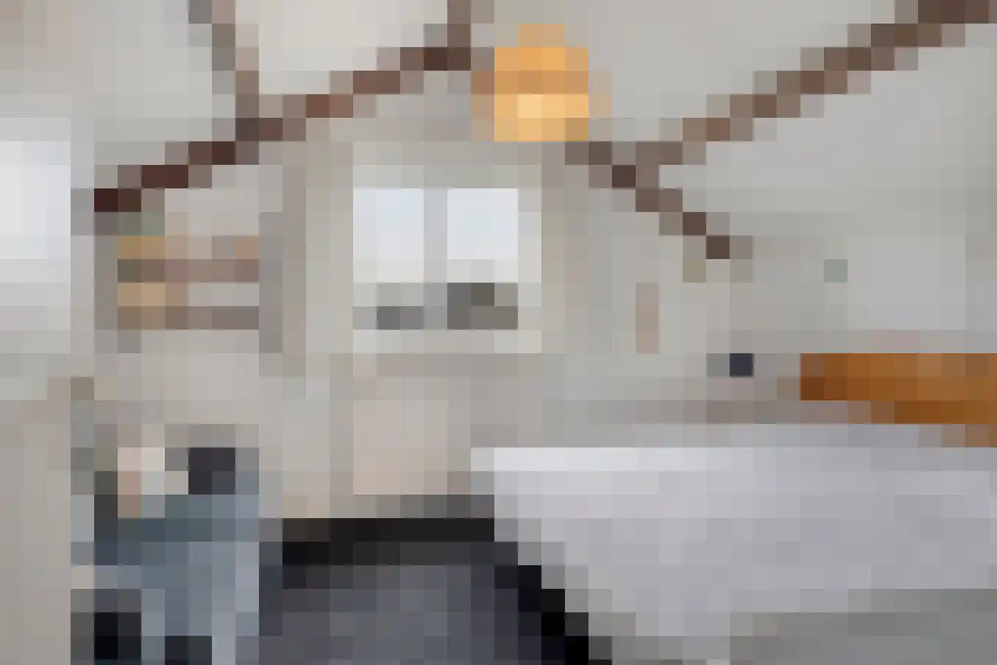 Laan der Verenigde Naties 2 Middelburg thumbnail 30