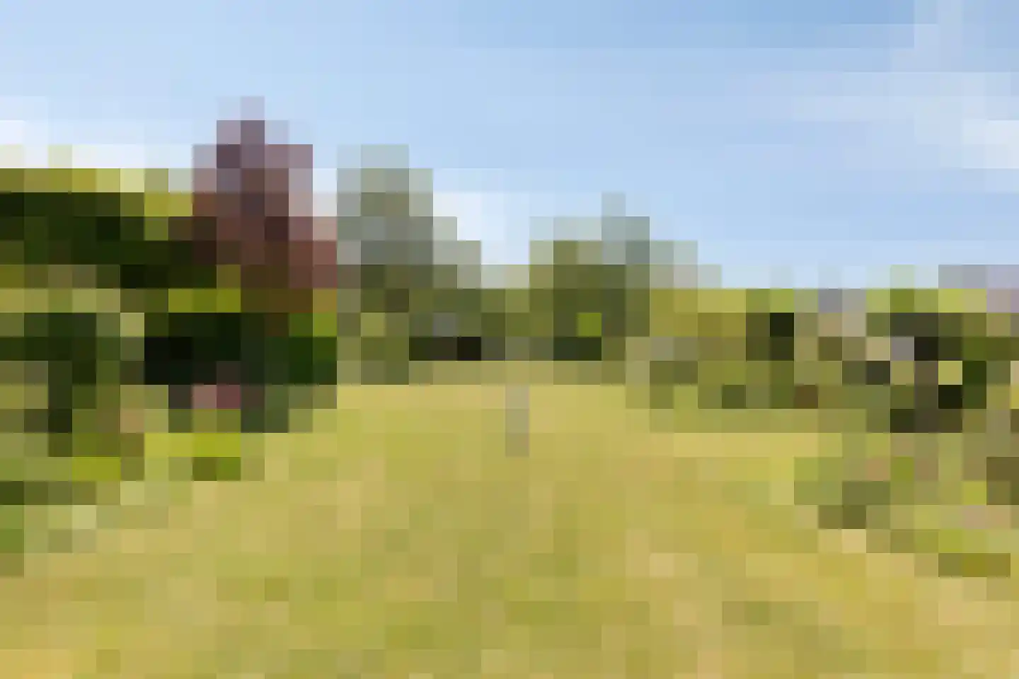 Laan der Verenigde Naties 2 Middelburg thumbnail 32