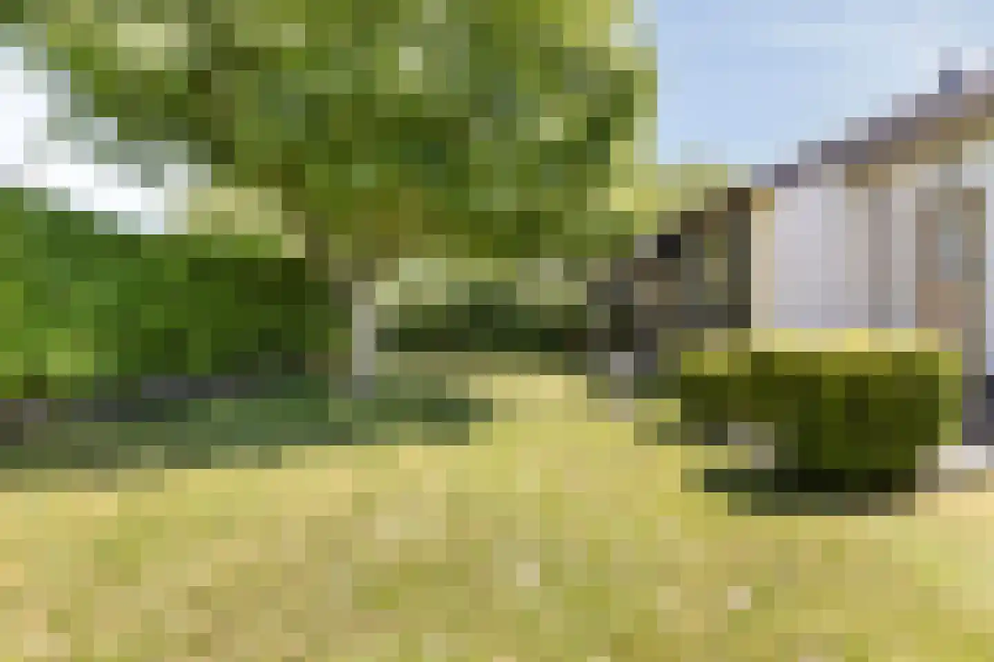 Laan der Verenigde Naties 2 Middelburg thumbnail 33