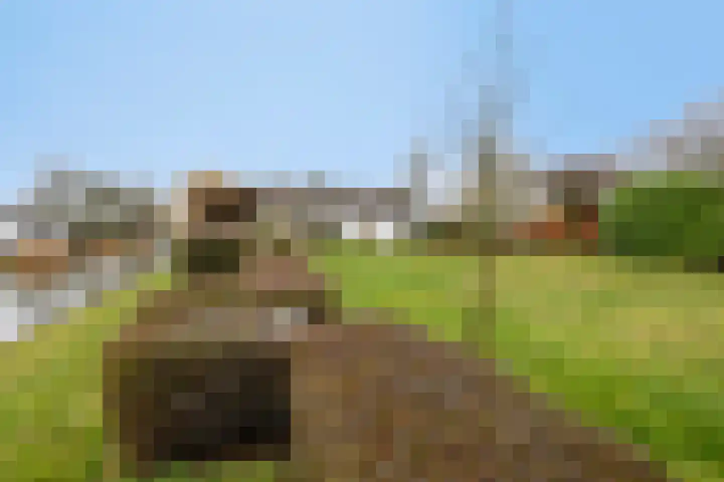Laan der Verenigde Naties 2 Middelburg thumbnail 34