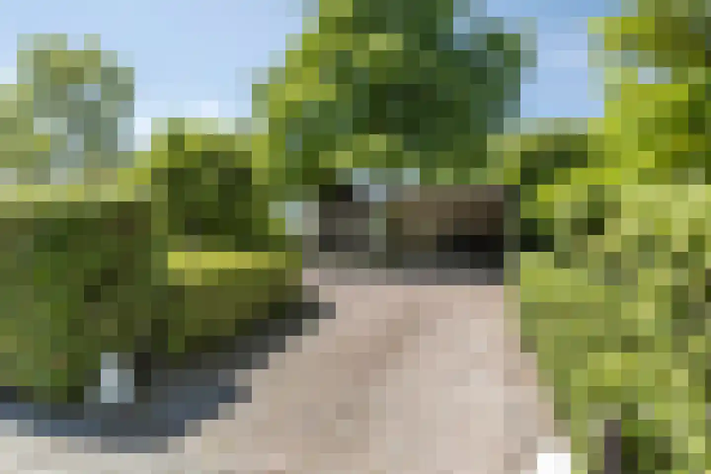 Laan der Verenigde Naties 2 Middelburg thumbnail 38