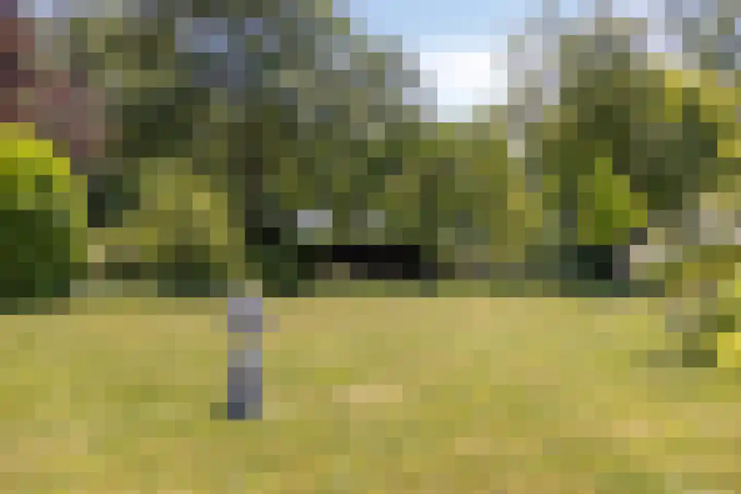 Laan der Verenigde Naties 2 Middelburg thumbnail 39