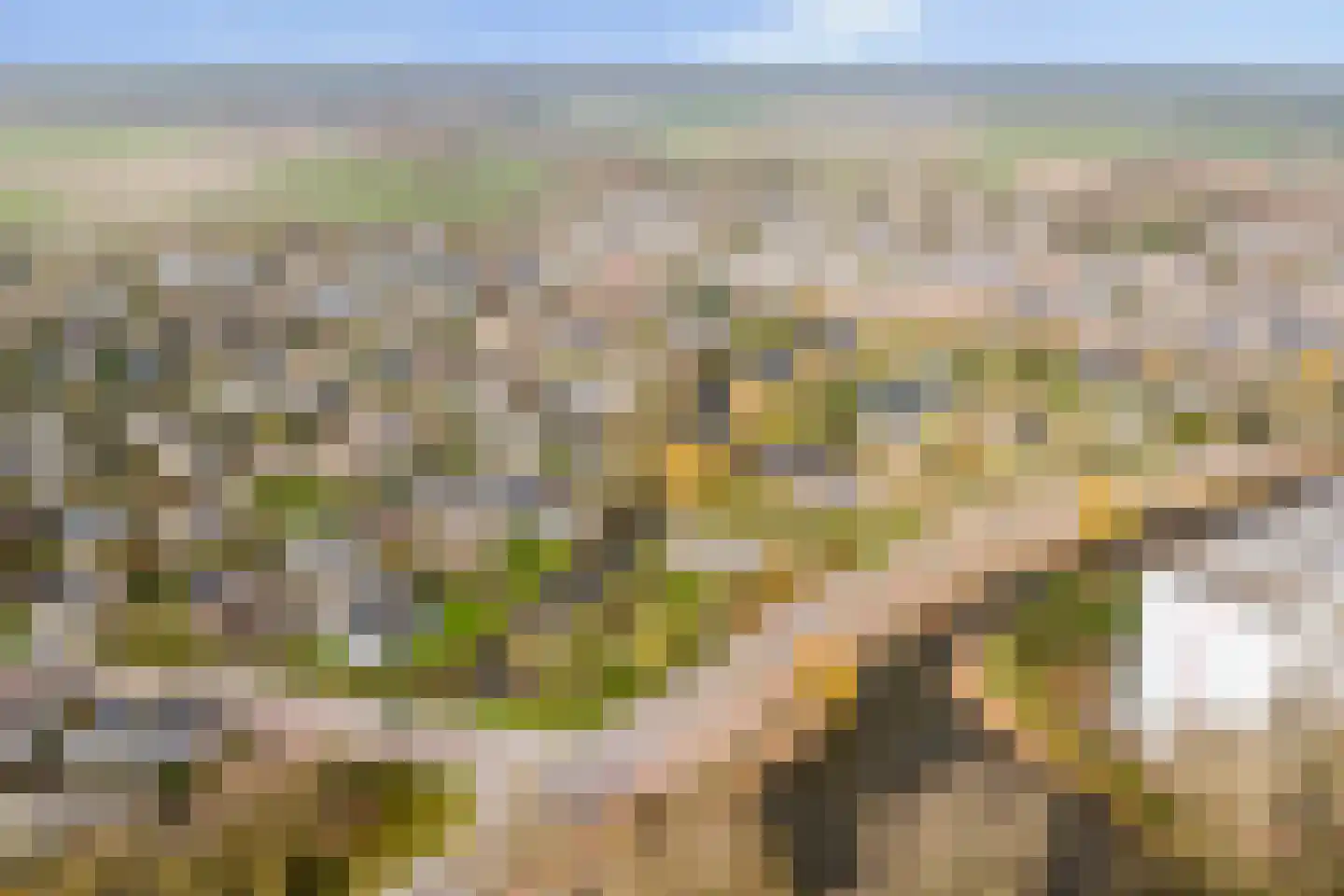 Laan der Verenigde Naties 2 Middelburg thumbnail 45