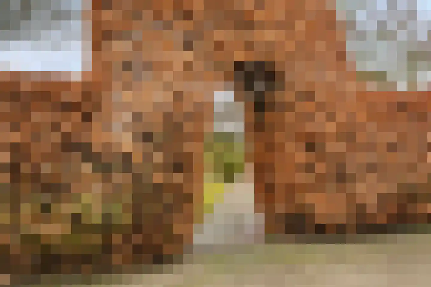 Laan der Verenigde Naties 2 Middelburg thumbnail 5
