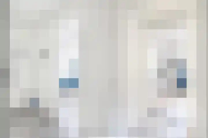 Laan der Verenigde Naties 22 Leiden thumbnail 13