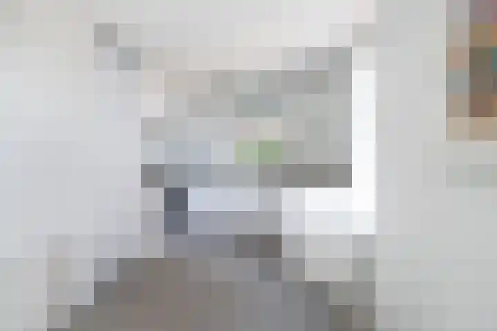 Laan der Verenigde Naties 22 Leiden thumbnail 23