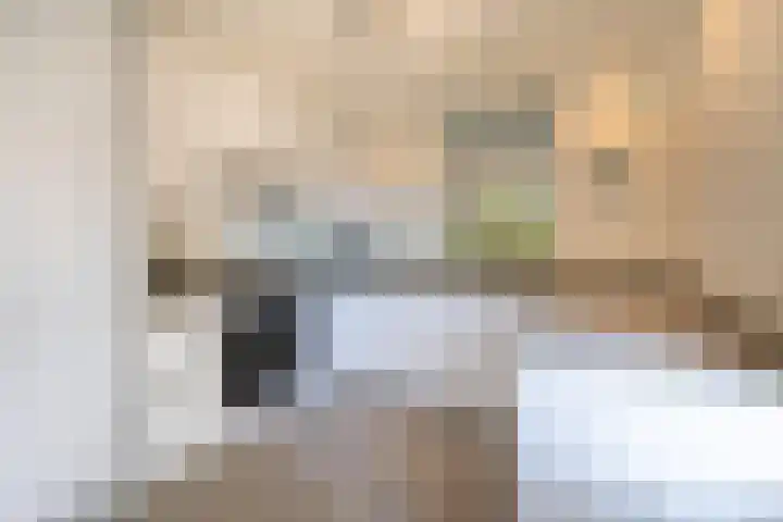 Laan der Verenigde Naties 22 Leiden thumbnail 24