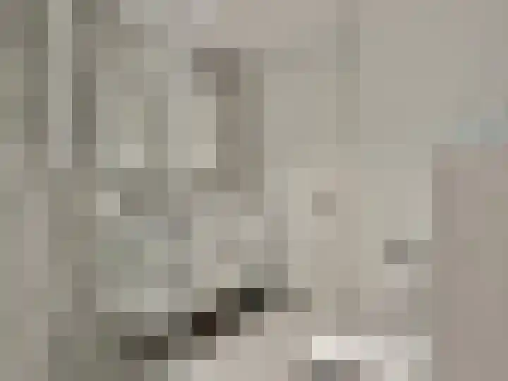 Laan der Verenigde Naties 22 Leiden thumbnail 33