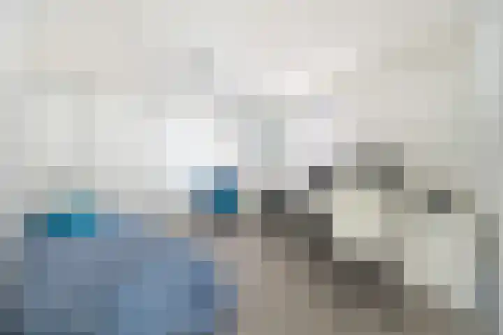 Laan der Verenigde Naties 22 Leiden thumbnail 34