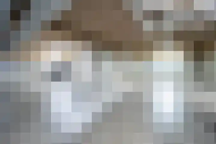Laan der Verenigde Naties 22 Leiden thumbnail 36