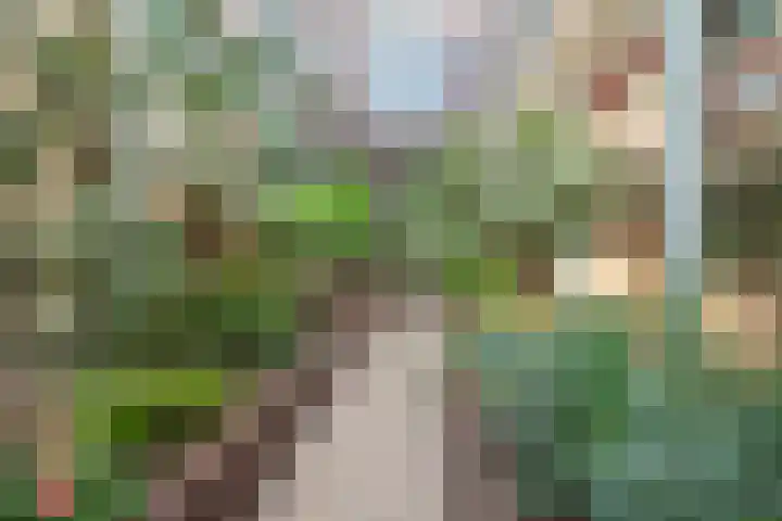 Laan der Verenigde Naties 22 Leiden thumbnail 7