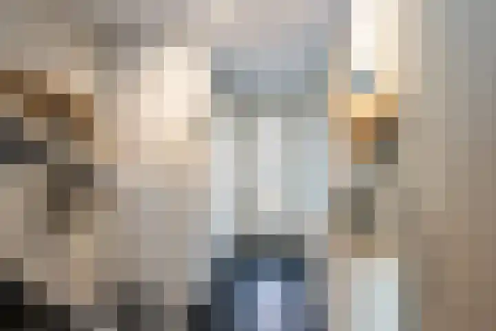 Laan der Verenigde Naties 26 's-Gravenzande thumbnail 12