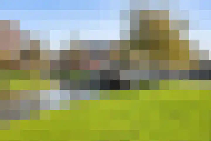 Laan der Verenigde Naties 26 's-Gravenzande thumbnail 31