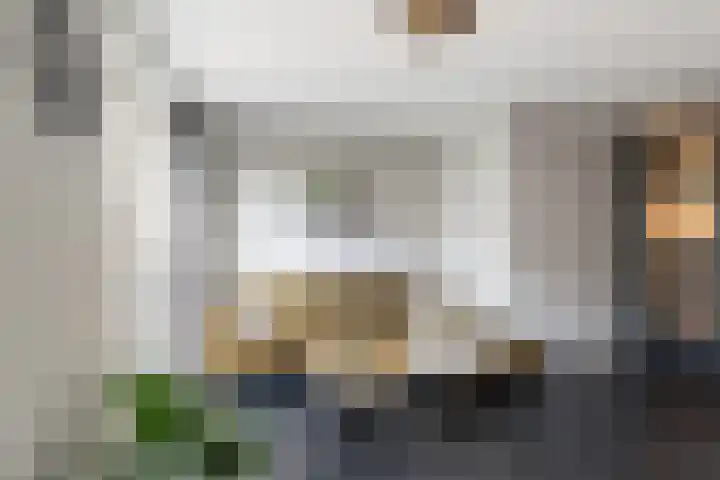 Laan der Verenigde Naties 26 's-Gravenzande thumbnail 5