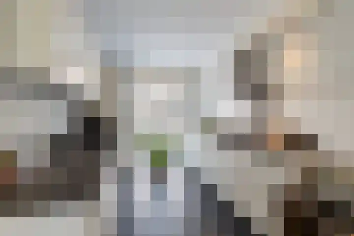 Laan der Verenigde Naties 26 's-Gravenzande thumbnail 8