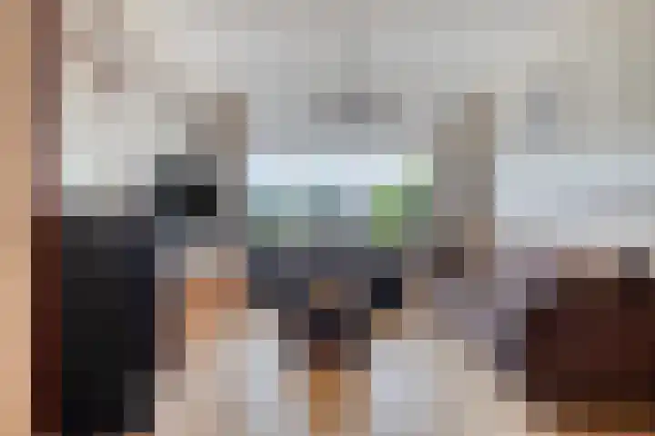 Laan der Verenigde Naties 28 Goes thumbnail 10