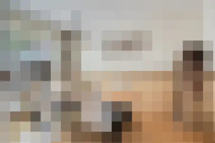 Laan der Verenigde Naties 28 Goes thumbnail 13