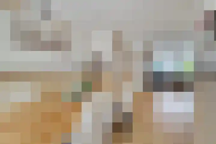 Laan der Verenigde Naties 28 Goes thumbnail 14