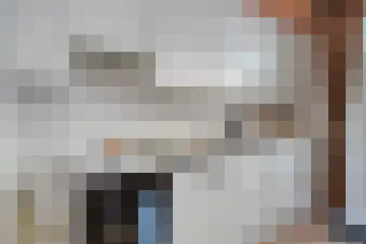 Laan der Verenigde Naties 28 Goes thumbnail 16