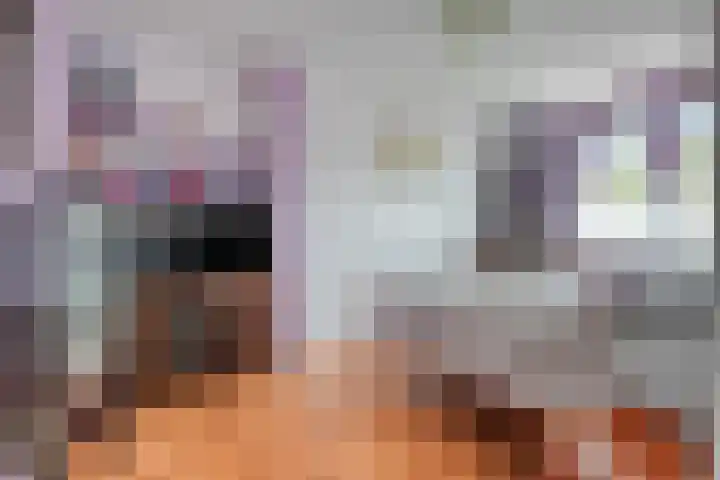 Laan der Verenigde Naties 28 Goes thumbnail 20