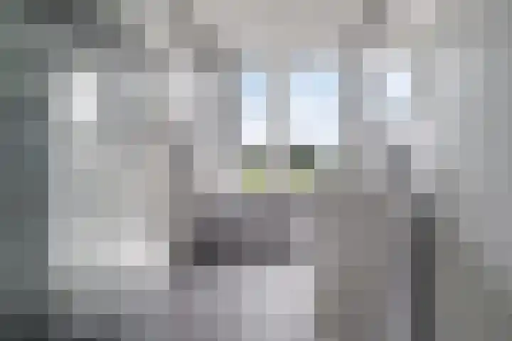 Laan der Verenigde Naties 28 Goes thumbnail 22