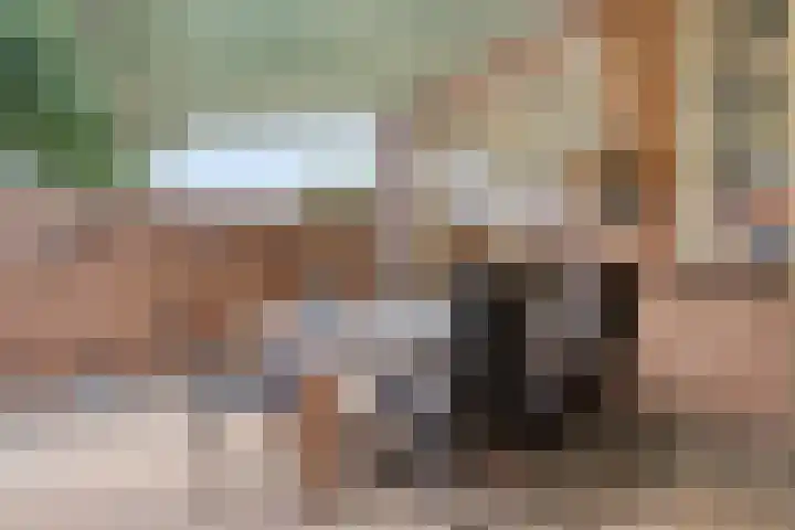 Laan der Verenigde Naties 28 Goes thumbnail 29