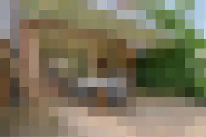 Laan der Verenigde Naties 28 Goes thumbnail 30
