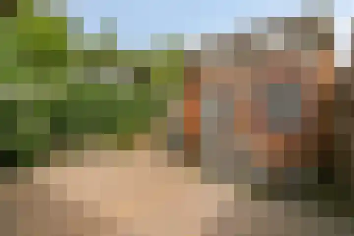 Laan der Verenigde Naties 28 Goes thumbnail 31