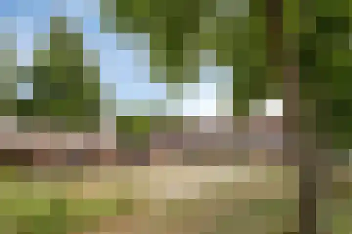 Laan der Verenigde Naties 28 Goes thumbnail 33