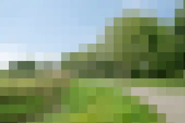 Laan der Verenigde Naties 28 Goes thumbnail 34