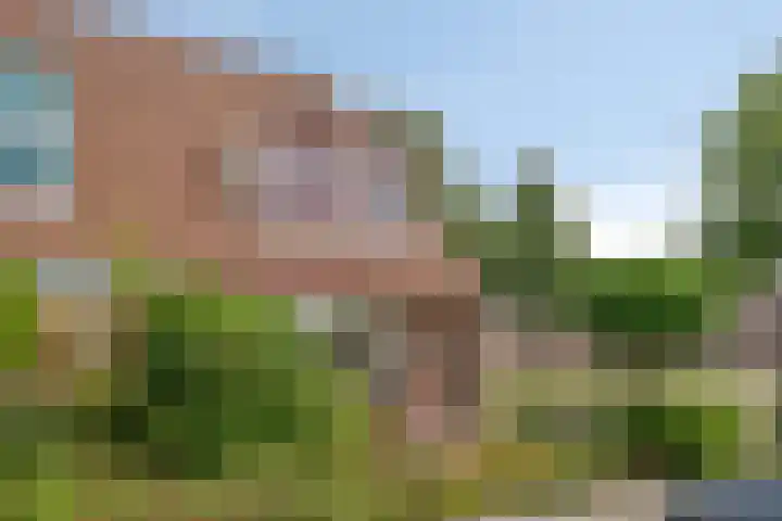Laan der Verenigde Naties 28 Goes thumbnail 5