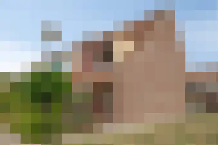 Laan der Verenigde Naties 28 Goes thumbnail 6