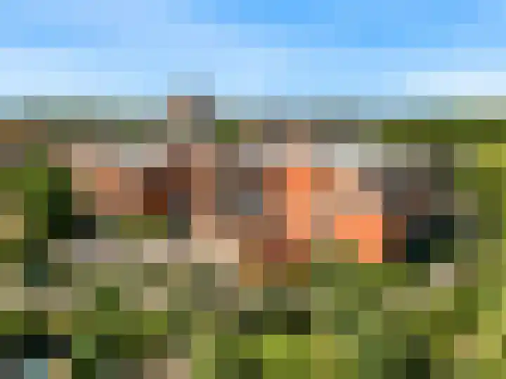 Laan der Verenigde Naties 40 Leiden