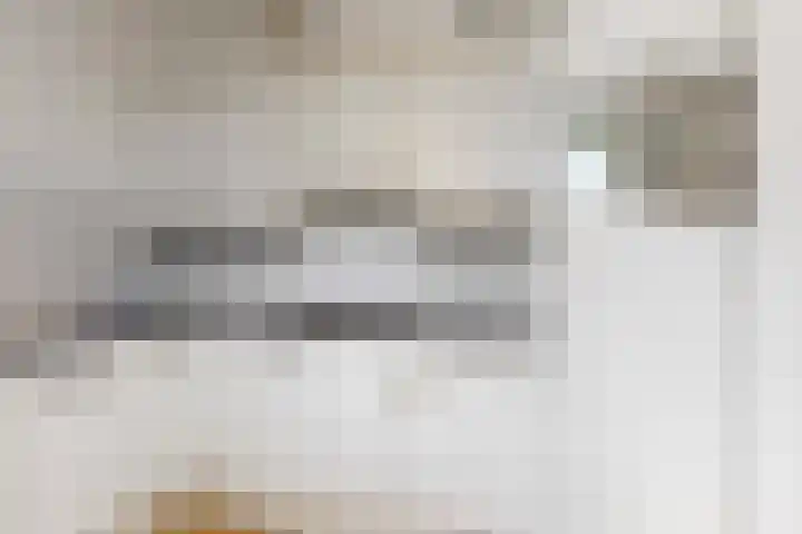 Laan der Verenigde Naties 40 Leiden thumbnail 20