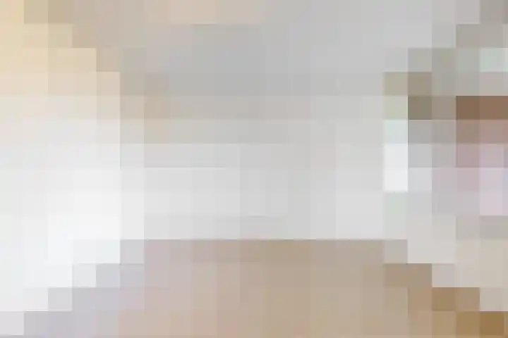 Laan der Verenigde Naties 40 Leiden thumbnail 23