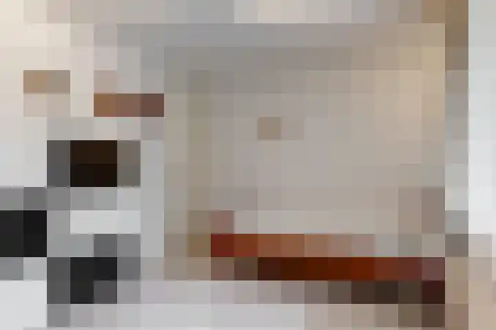Laan der Verenigde Naties 40 Leiden thumbnail 25