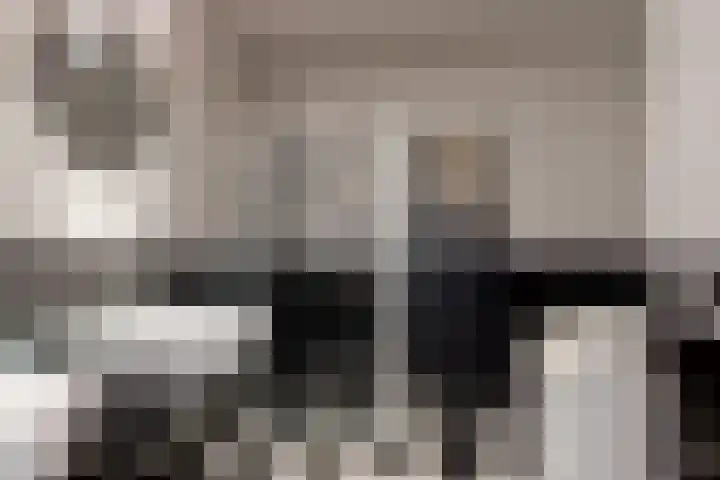 Laan der Verenigde Naties 40 Leiden thumbnail 26