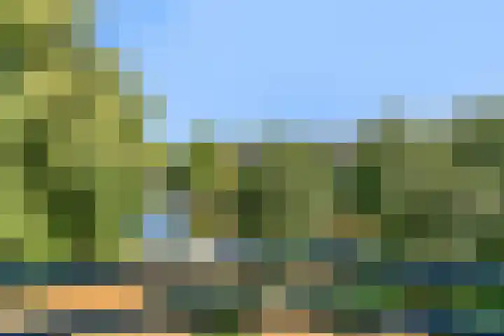 Laan der Verenigde Naties 40 Leiden thumbnail 30