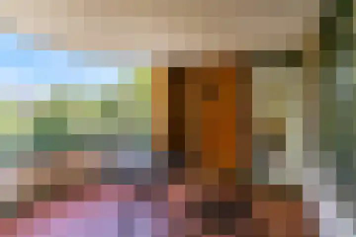 Laan der Verenigde Naties 40 Leiden thumbnail 31